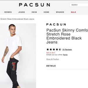 PacSun Skinny Stretch Rose Embroidered Jeans